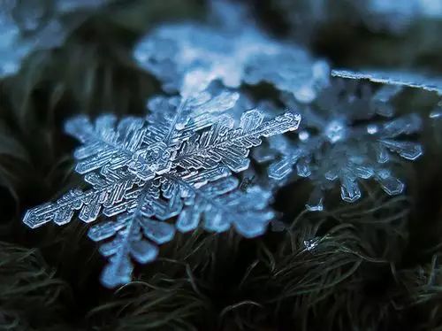 不可思议美的惊艳雪花微信头像