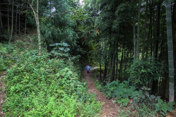 边远的大山里,山路崎岖,交通不便,读4年级的三女儿王红兰每天步行