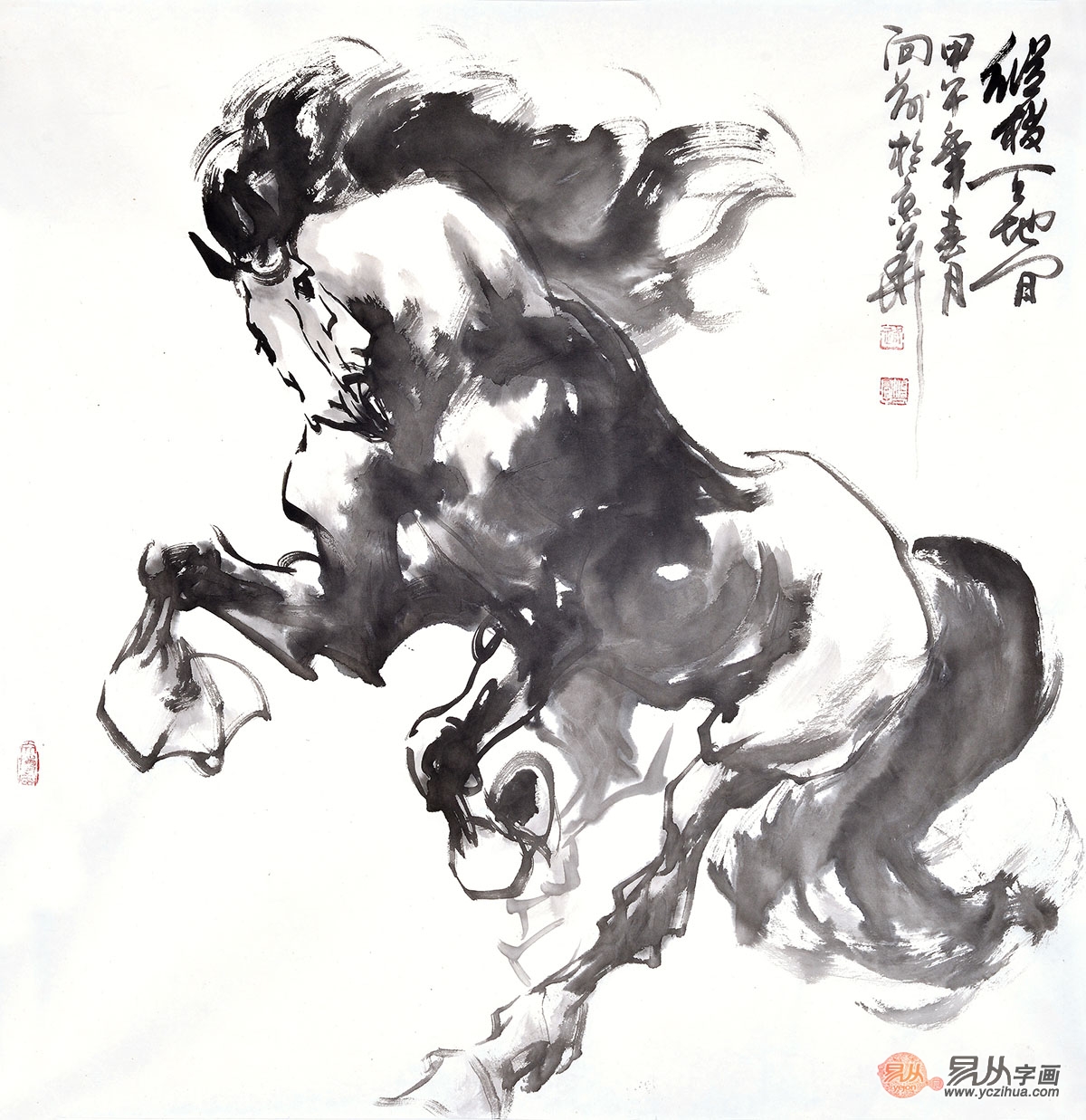 自幼临摹中国历代花鸟画大师画品,潜心研习写意,工笔花鸟画,尤其擅长