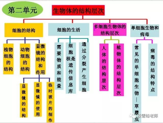 七年級生物上全冊知識梳理思維導圖讓你輕鬆記憶高清推薦