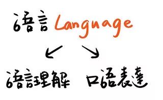 语言?言语?傻傻分不清楚