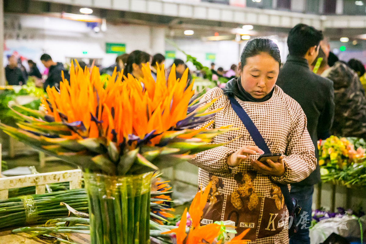 昆明斗南花卉市场：云南省最大、最繁华的花卉交易中心_环游世界小百科