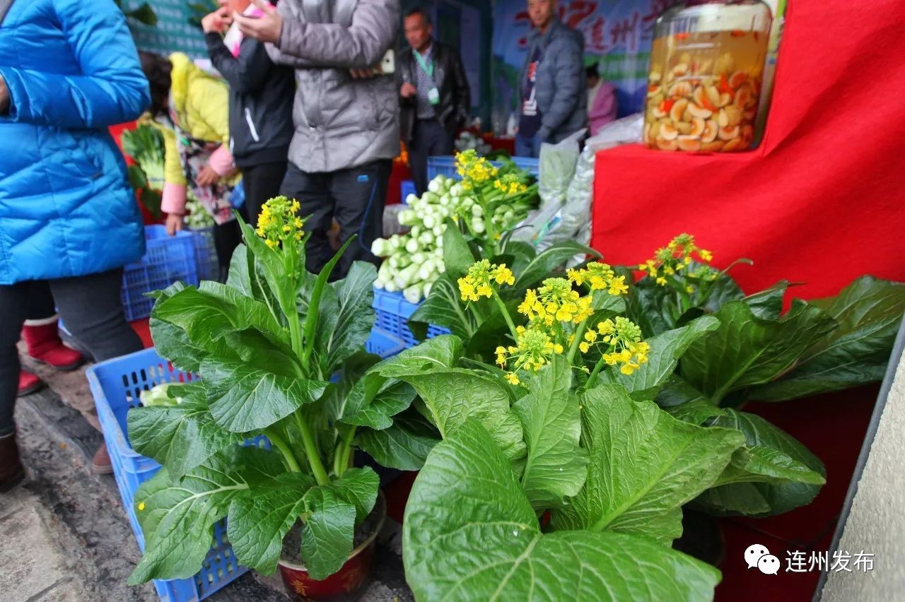 一天卖出860吨2017连州菜心节清甜开幕