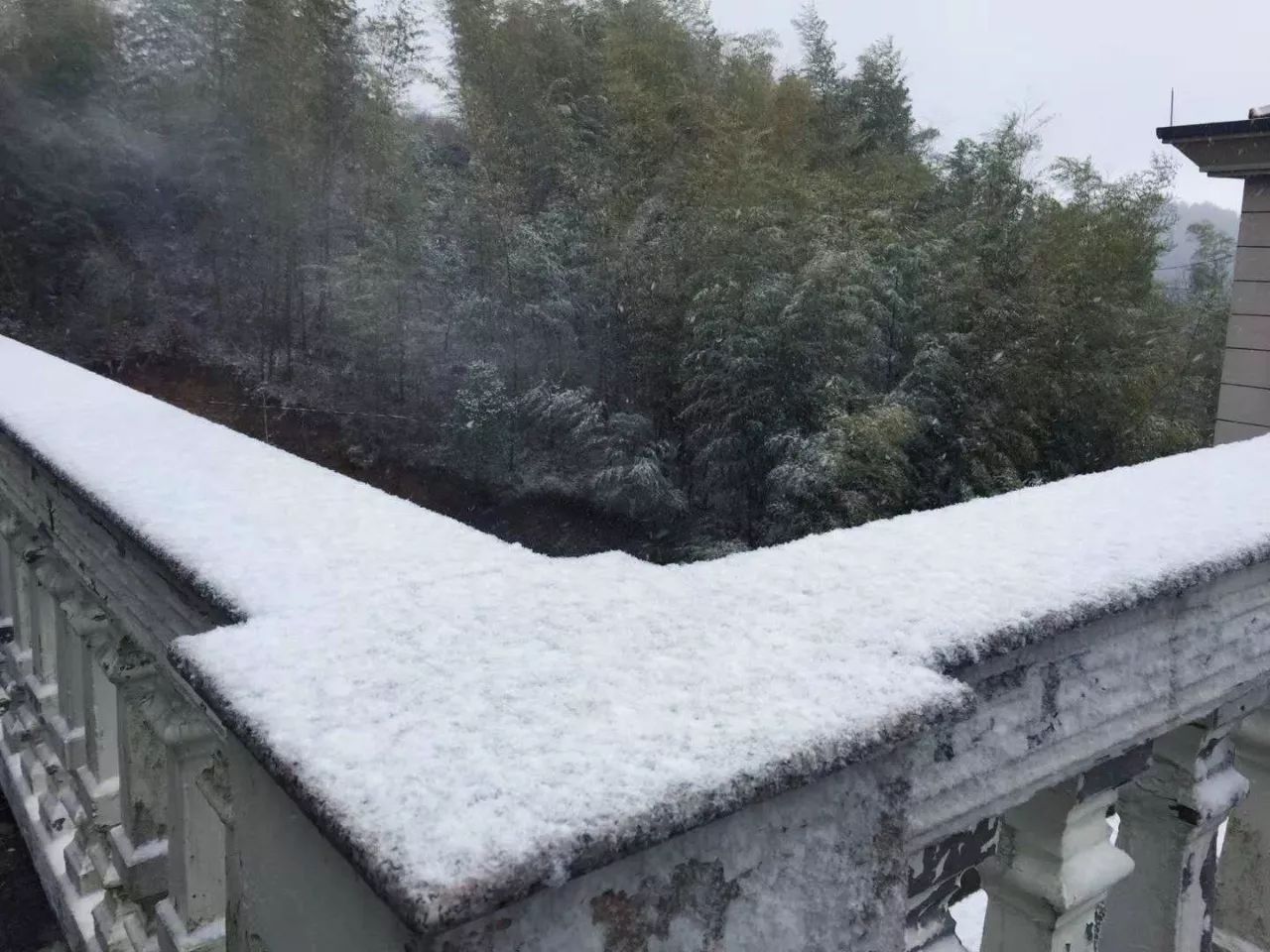 金鸡山下雪图片