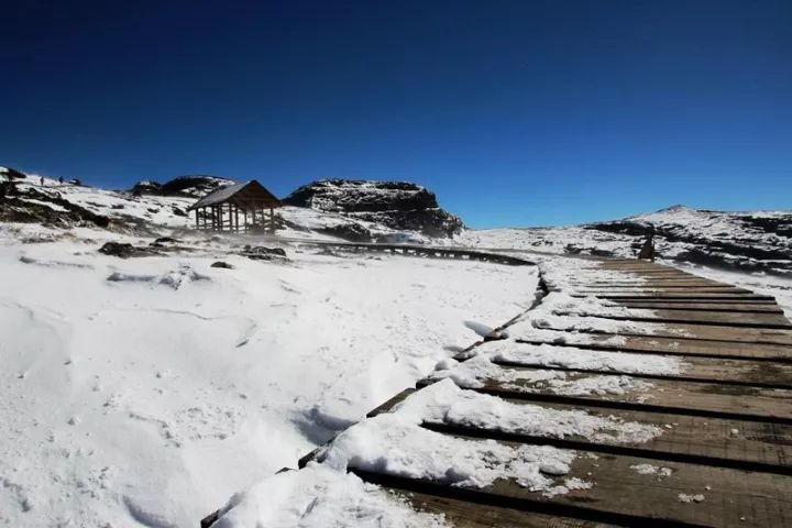 可控動車位有限跨年有約我們一起相約轎子雪山12月30日1月1日動車往返