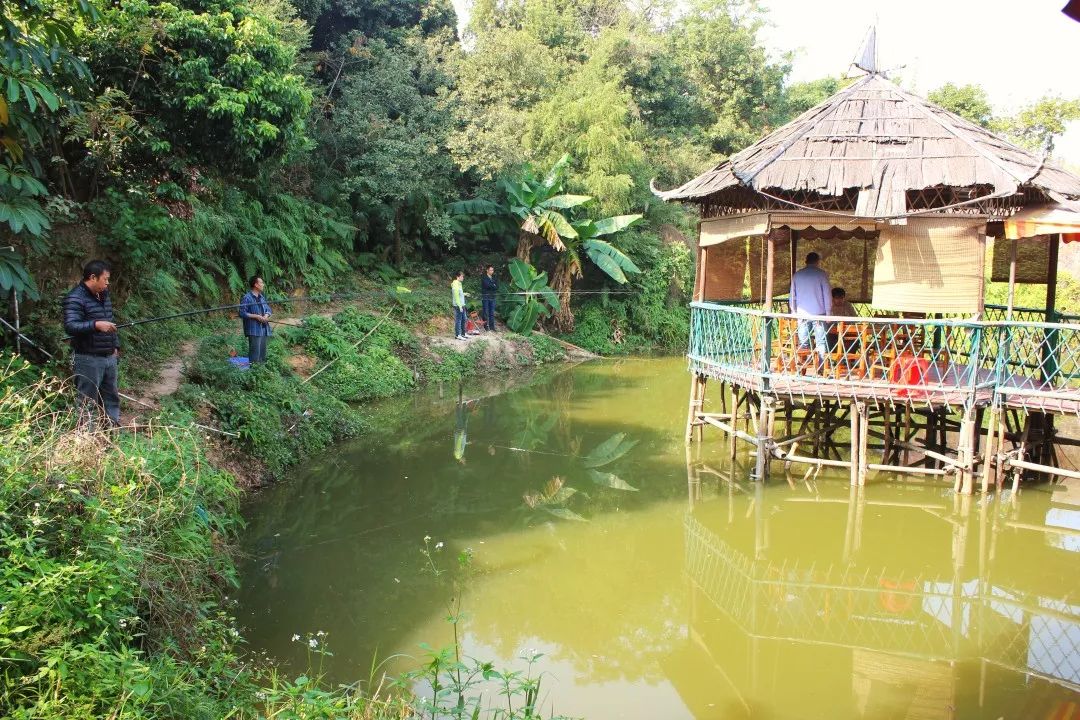 燒大灶,清泉山莊種植基地,綠色有機蔬菜觀賞園,品種眾多