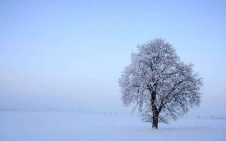 晚安今夜天欲雪