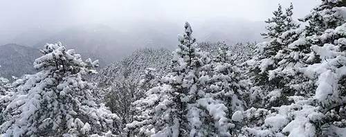 美图原来山西的雪景是如此的绝美