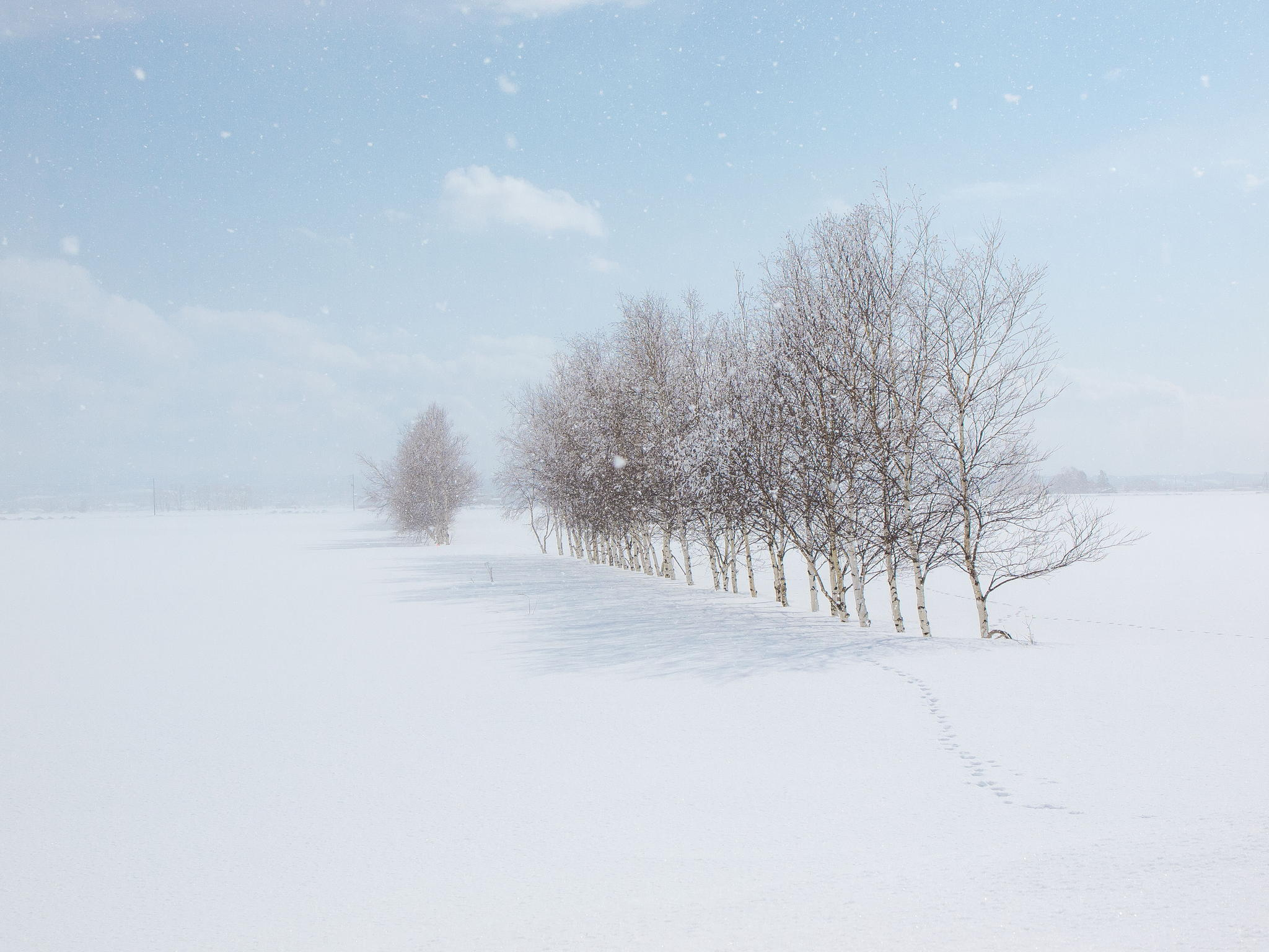 大雪唯美图片大全清新图片