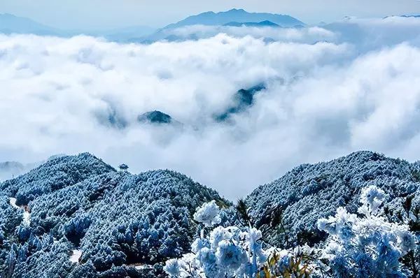 不一定~美圖欣賞圖片欣賞再欣賞一遍 九仙山霧凇(往年盛景)一眼望過去