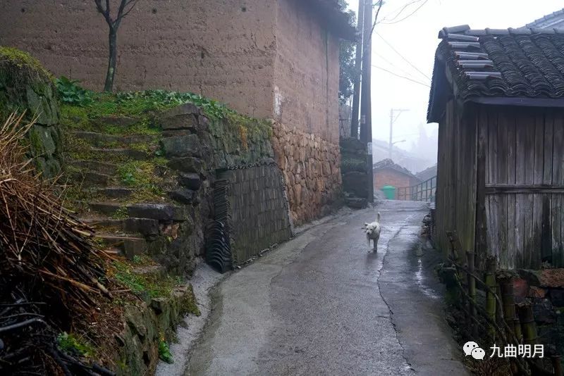 隐在冬日雨雾中的山村—兰峰村