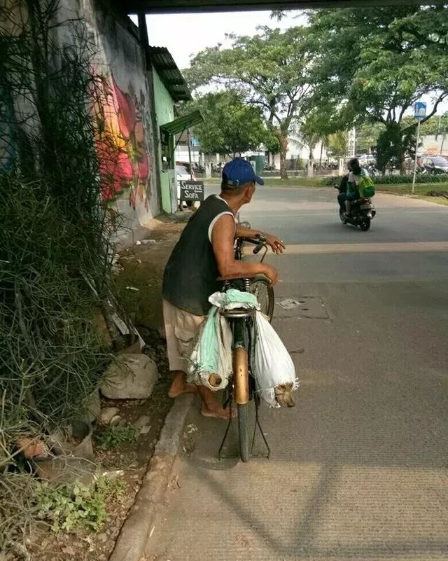 故事|印尼一小哥路遇狗販子,看到兩隻狗狗絕望的眼神後