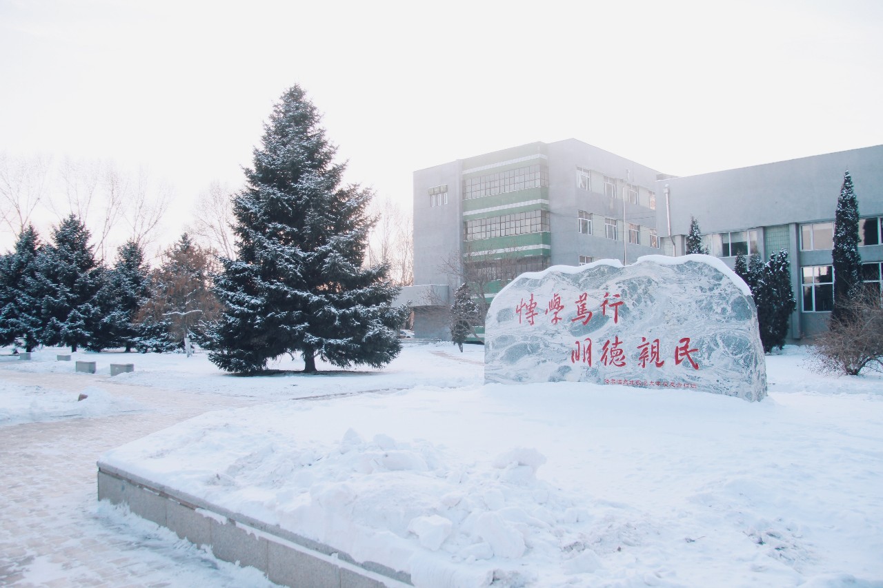 东北农业大学雪景图片