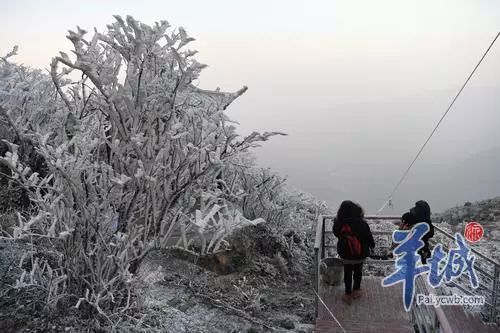 下雪了!2017年廣東第一場雪來了!茂名這波強冷空氣,將會持續到…】