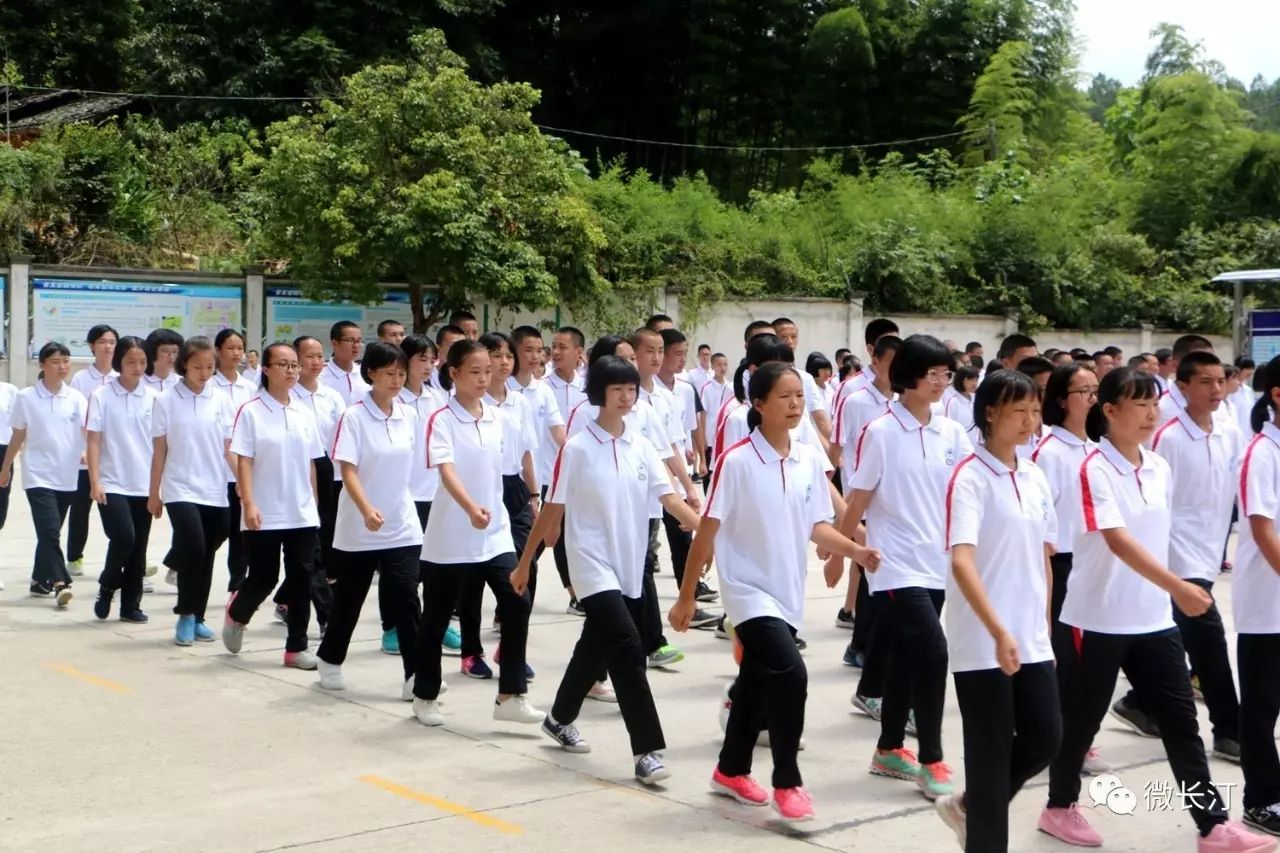 市实验小学 漳平市教师进修学校附属小学 龙岩市永定区第三初级中学