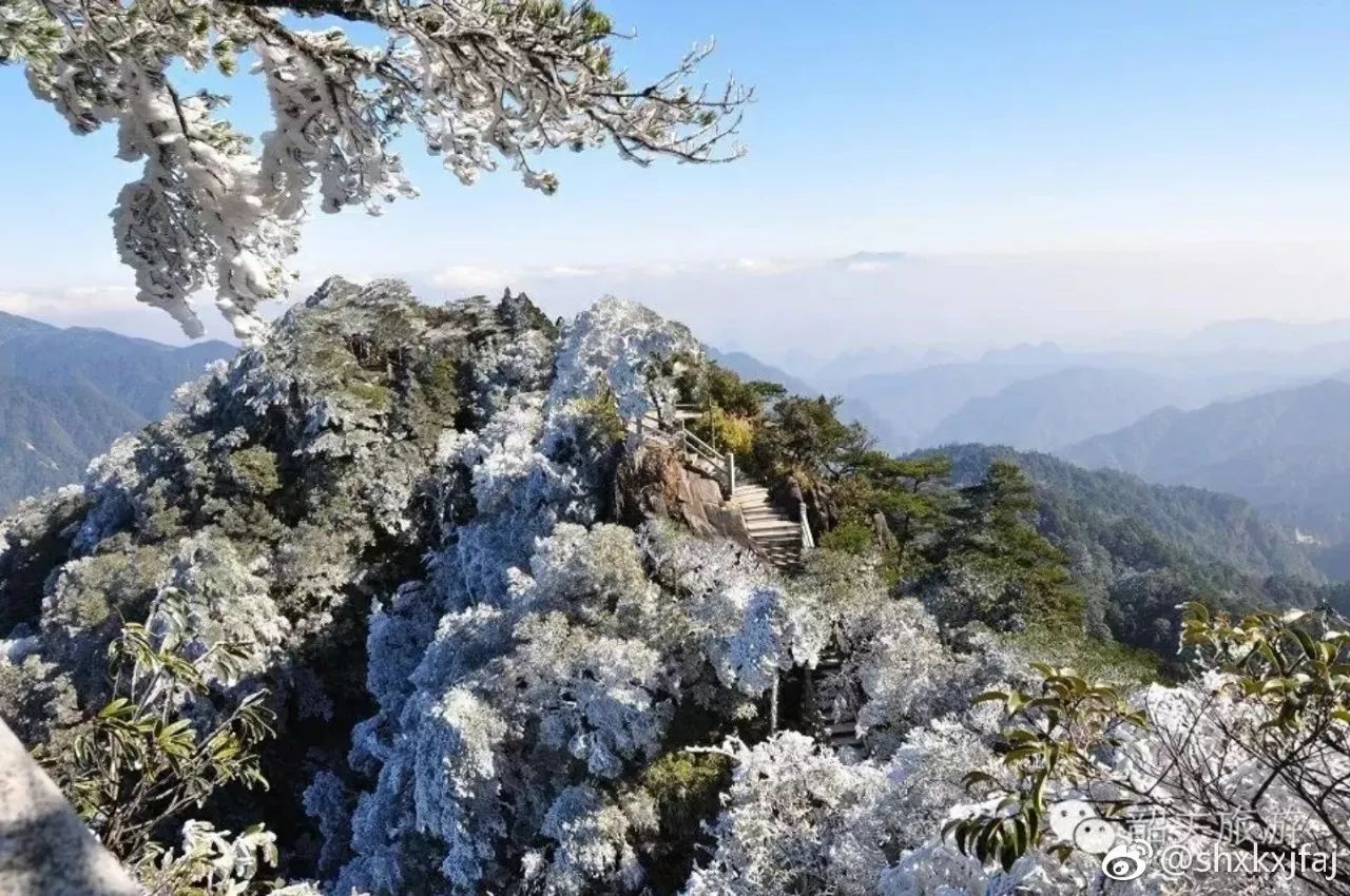 岭南公园雪景图片