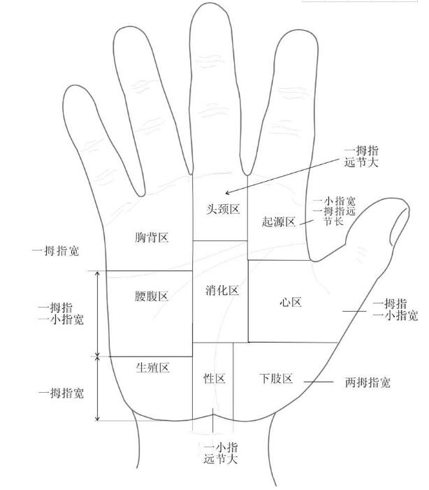 中医手诊的位和相