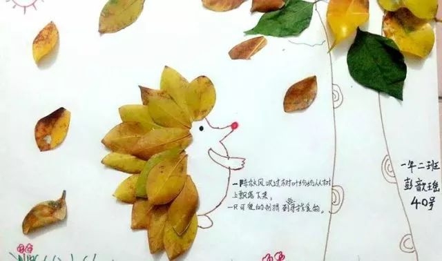 关于叶子的绘本制作图片