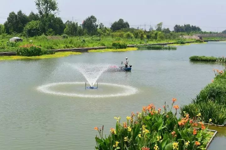 大变样温州河长制覆盖一万多条河道这些河道景观惊艳到你了吗