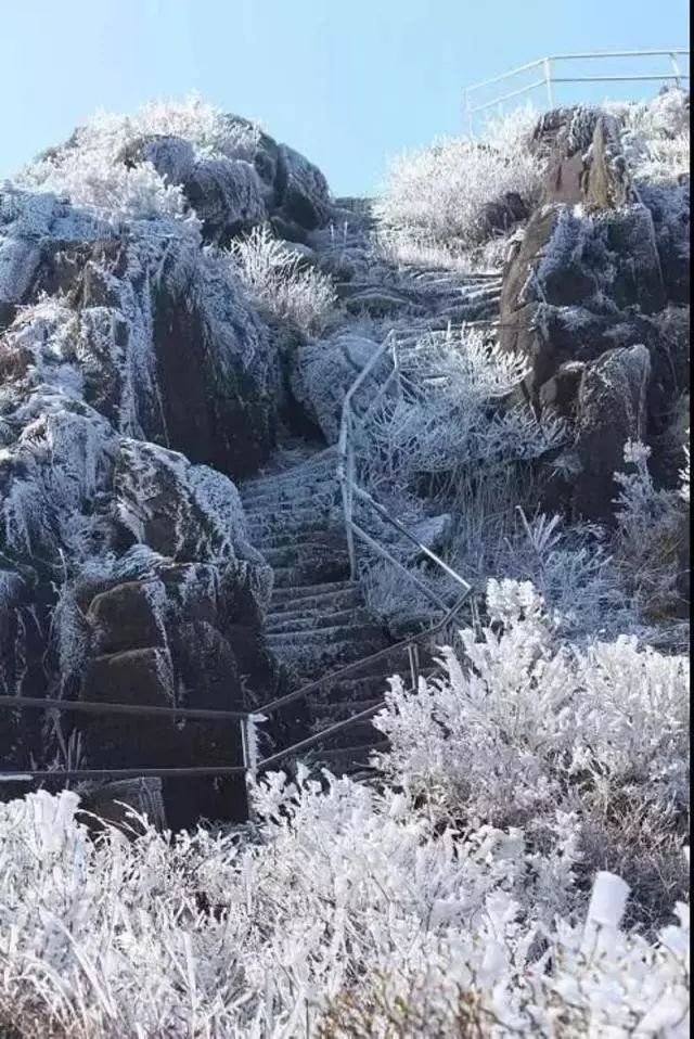 12月16日早晨,2017年冬天广东第一场雪下在清远金子山.