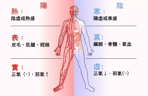 八綱中醫入門自己就能辯證虛實寒熱