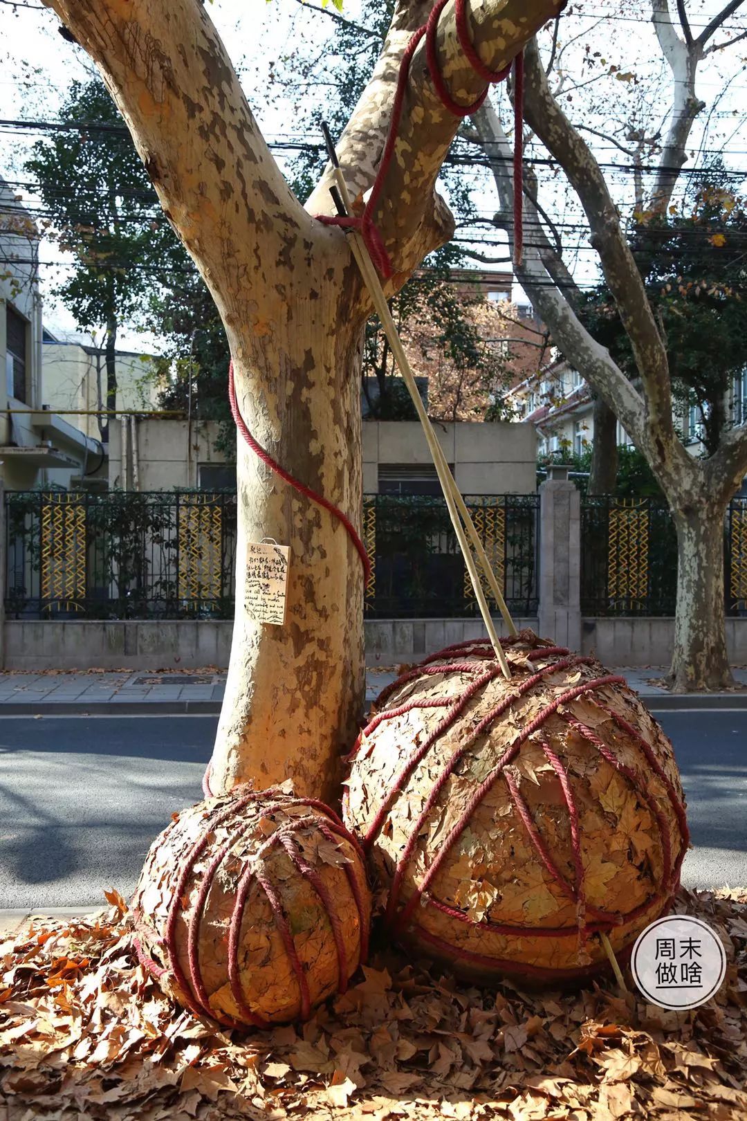 把落叶变成了艺术展岳阳路竟然这么美红伞叶吻纯白帷幔限时12月底