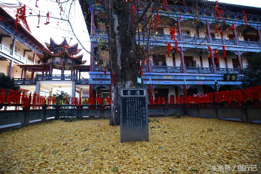 荊楚名剎沙市章華寺規模巨大雄偉壯觀是遊人必去的名勝