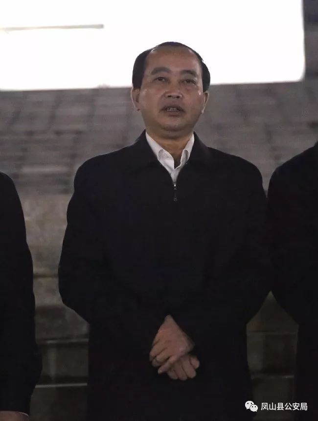 河池凤山县县长图片