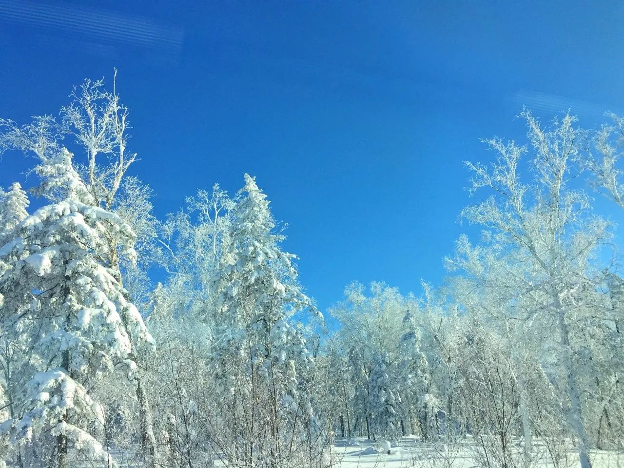 東北 霧凇 大愛