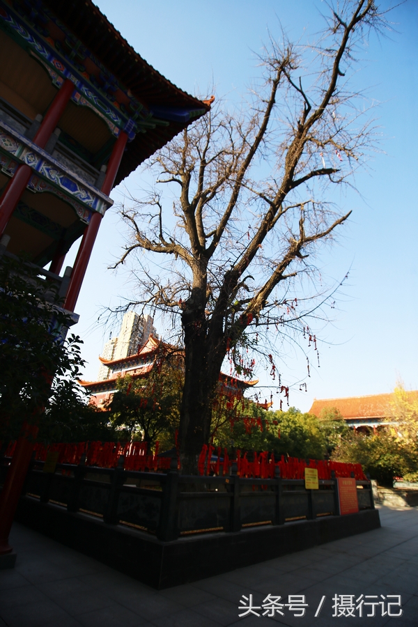 荊楚名剎沙市章華寺規模巨大雄偉壯觀是遊人必去的名勝