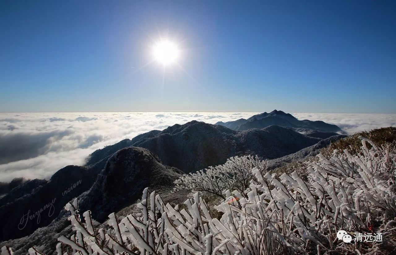 其實廣東第一峰最出名的還有云海和日出除了冰掛和霧凇景象冰雪美人