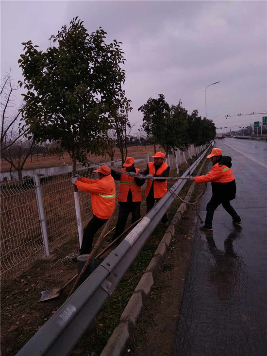 響水縣公路站及時扶正歪樹