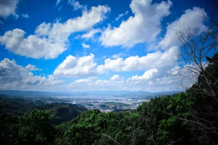 千年南絲路探秘茶馬源普洱茶馬古道旅遊景區