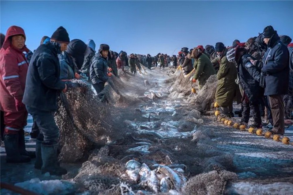 漁獵查干湖,關東人冬季捕魚過程的真實寫照