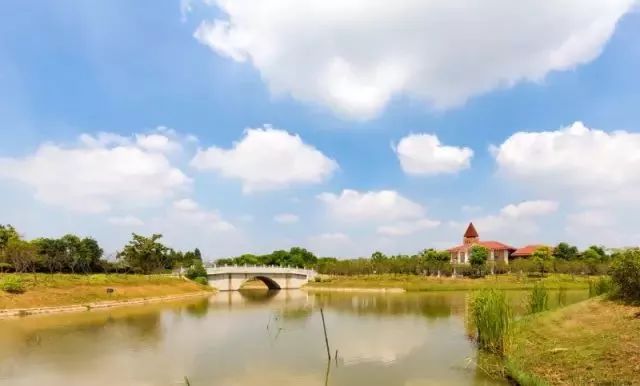 海灣國家森林公園位於上海市奉賢區海灣鎮五四農場境內,是以森林為