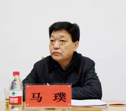 市政府副市长马璞调研员徐国文市卫生计生委党组书记魏振峰市卫生计生