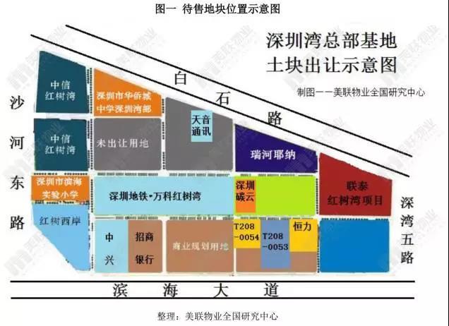 出让宗地基本信息公告显示,两宗地块均位于南山深圳湾超总基地,且土地