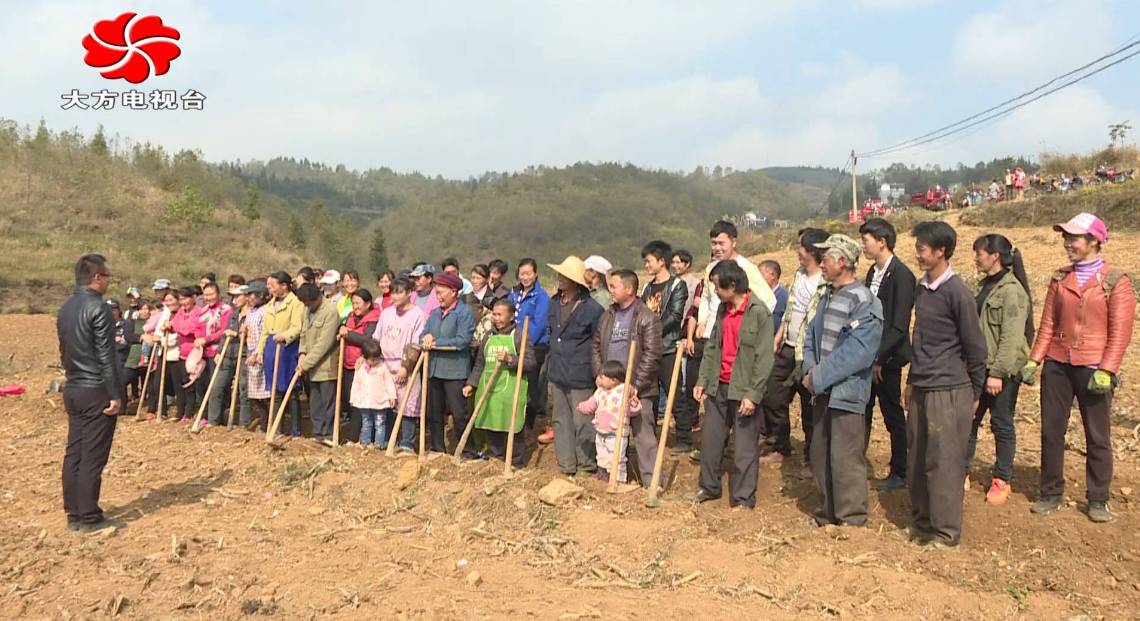 大方县城有多少人口_贵州大方:“筑巢酿蜜”酿出“沁口”甜蜜事