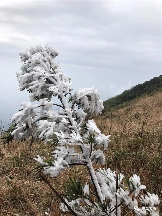 罗浮山下雪图片