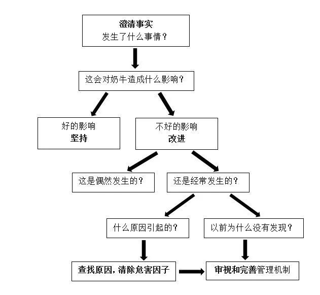 觀察和思考的流程圖推薦如下