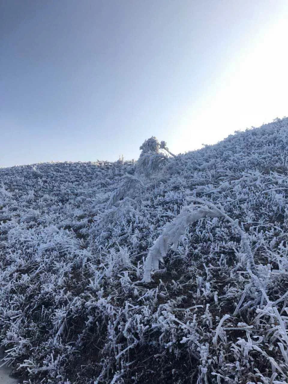 興國大烏山下雪啦