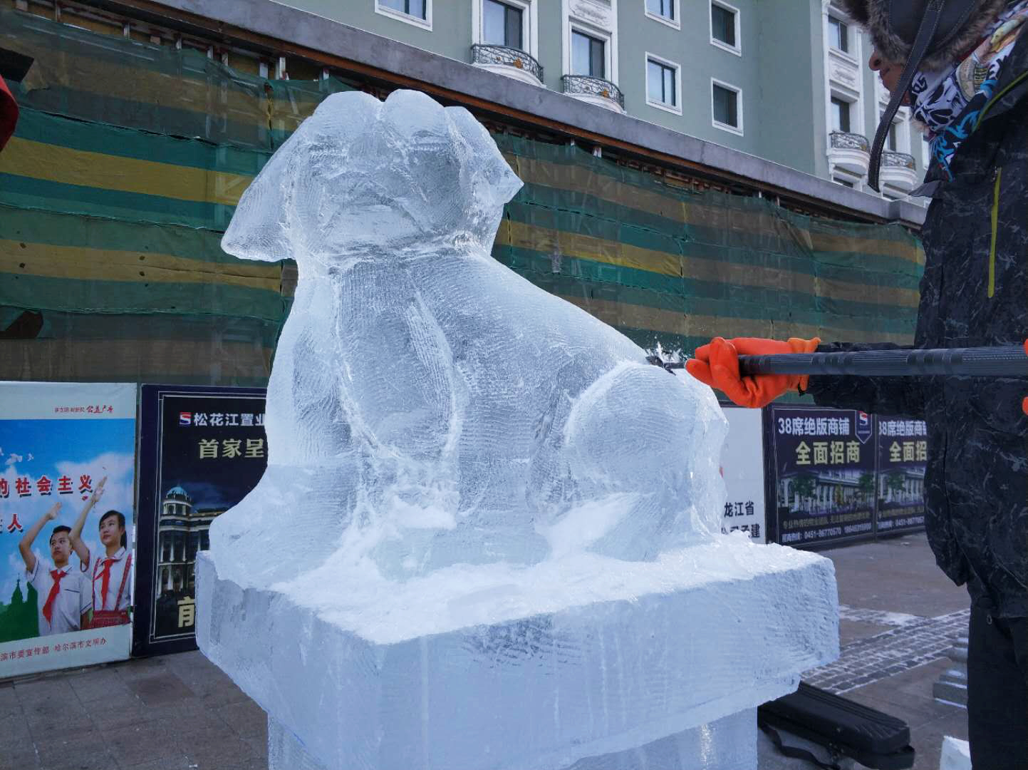 冰足雕动物图片