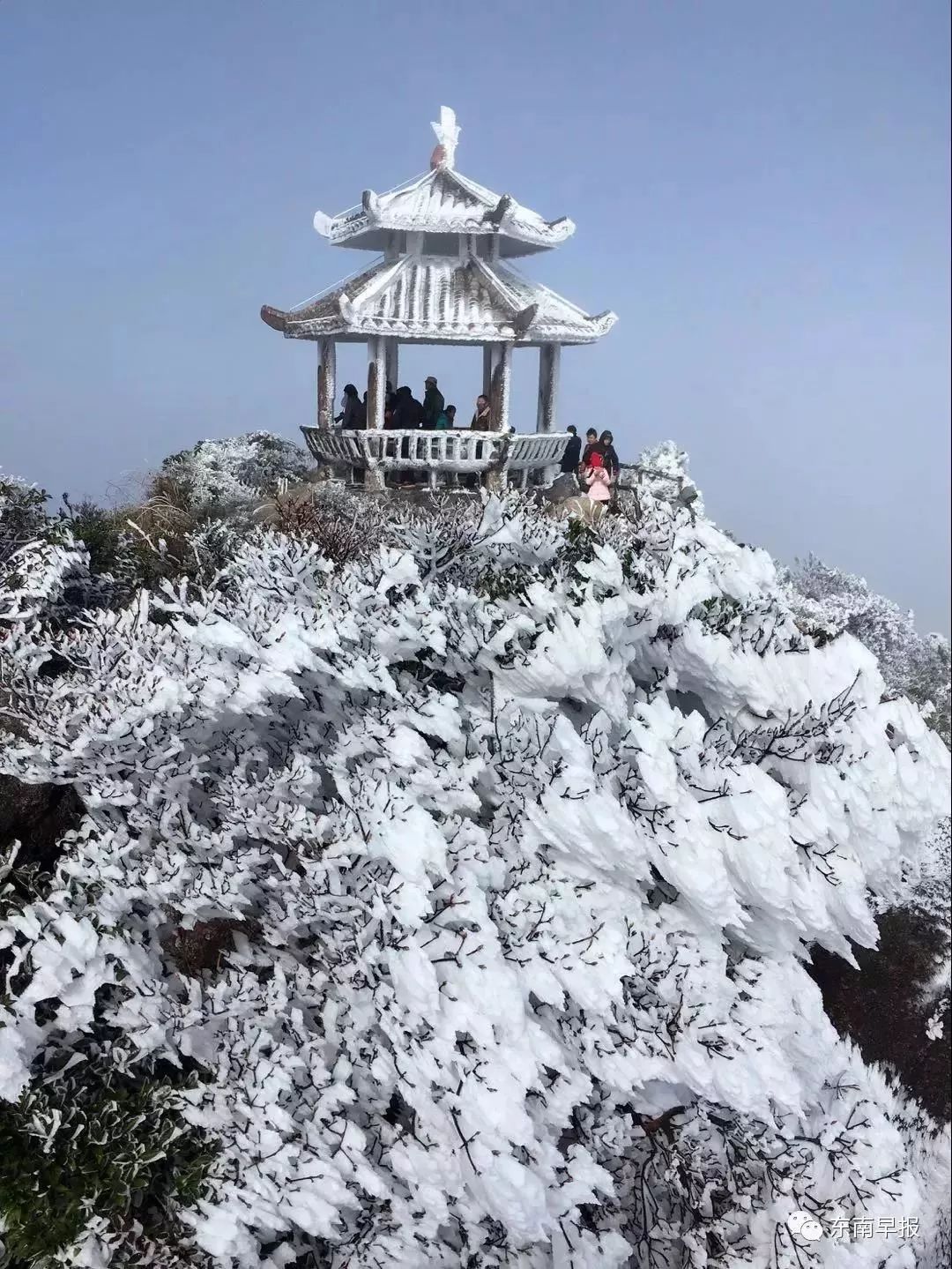 德化讀者陳志明提供到了早上8點左右氣溫還在零下攝氏一度九仙山氣象