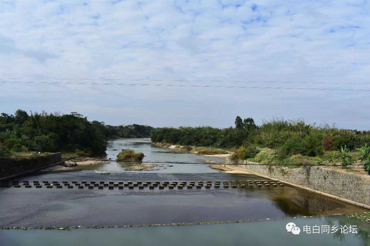 電白又一公園即將建成電白獨一無二的旅遊景點