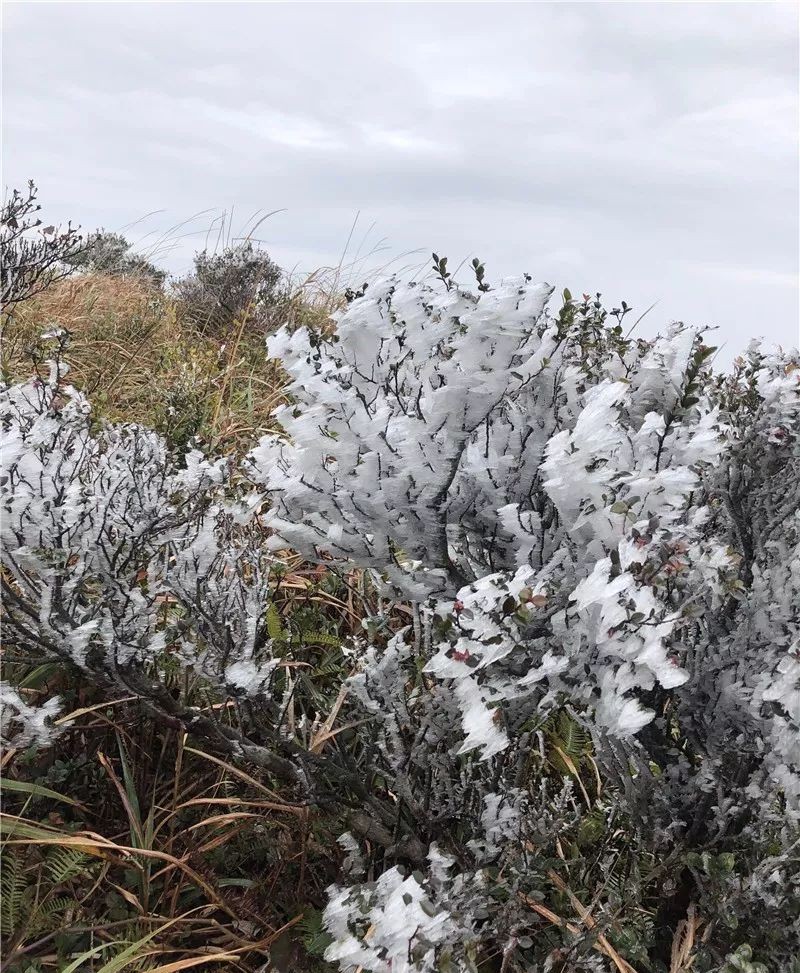 罗浮山下雪图片