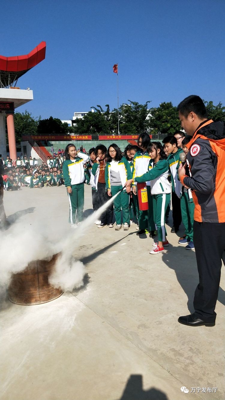 万宁中学校花欣芸图片