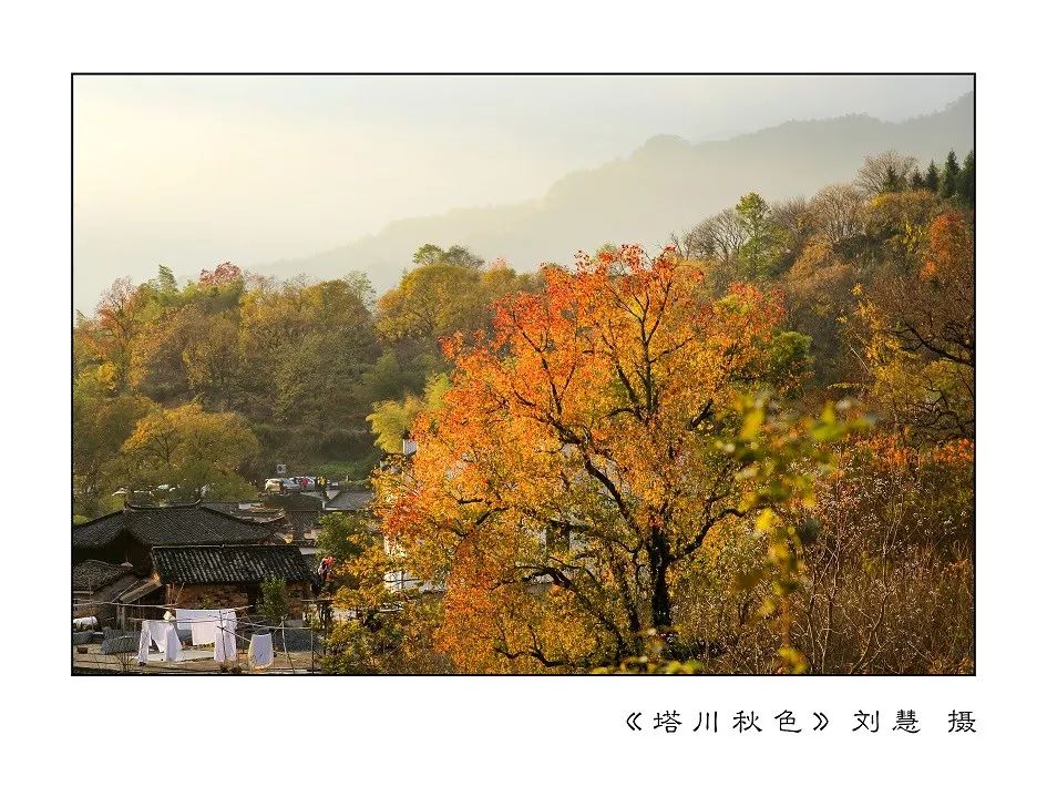 楚天千里清秋水随天去秋无际建邺区机关摄影培训班作品展