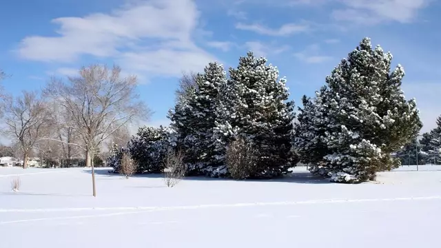 實拍全國各地的絕美雪景帶你領略白雪皚皚的大好河山