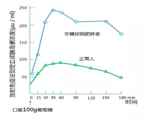 一文读懂ogtt胰岛素c肽释放试验化验单是什么意思