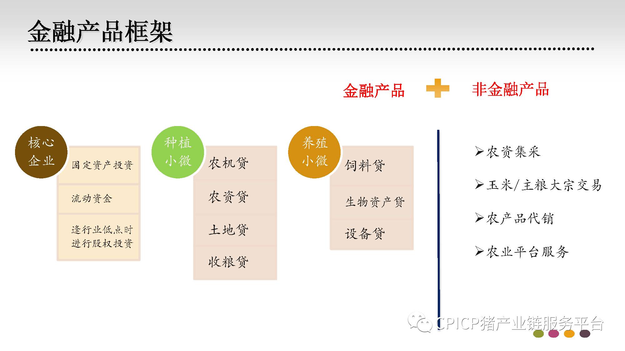 神州数码农业行业总监邹建兵:资本 猪产业链